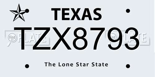 TZX8793 Texas License Plate