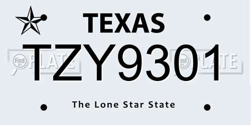 TZY9301 Texas License Plate