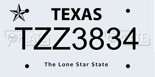 TZZ3834 Texas License Plate