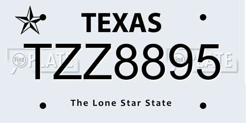 TZZ8895 Texas License Plate