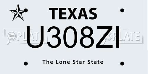 U308ZI Texas License Plate