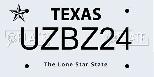 UZBZ24 Texas License Plate