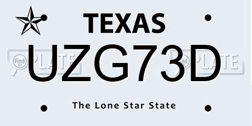 UZG73D Texas License Plate