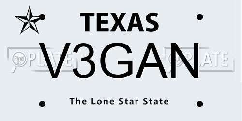 V3GAN Texas License Plate