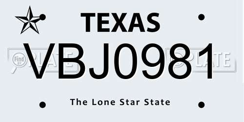 VBJ0981 Texas License Plate