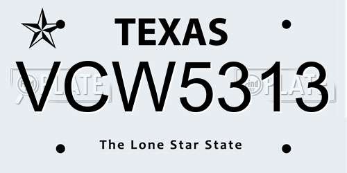 VCW5313 Texas License Plate