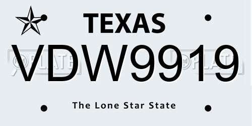 VDW9919 Texas License Plate