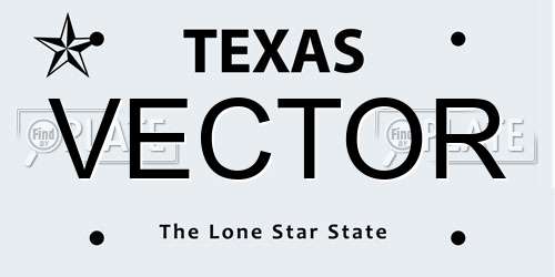 VECTOR Texas License Plate