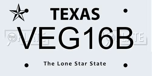 VEG16B Texas License Plate