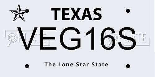VEG16S Texas License Plate