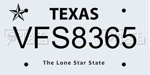 VFS8365 Texas License Plate