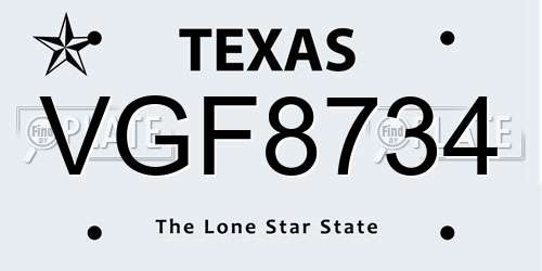 VGF8734 Texas License Plate