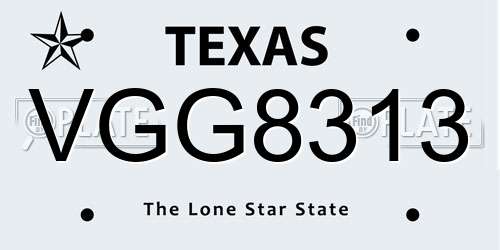 VGG8313 Texas License Plate