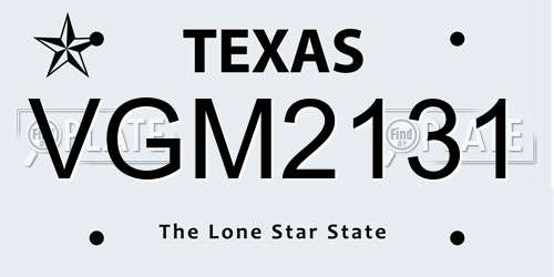 VGM2131 Texas License Plate
