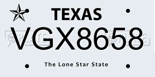 VGX8658 Texas License Plate
