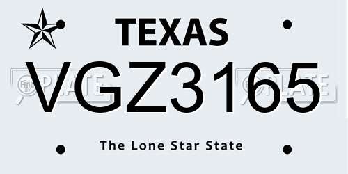 VGZ3165 Texas License Plate