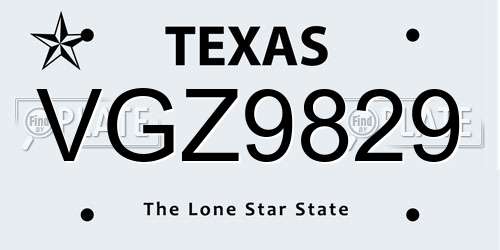 VGZ9829 Texas License Plate