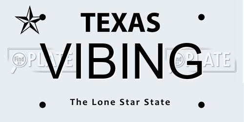 VIBING Texas License Plate