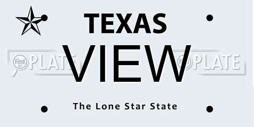 VIEW Texas License Plate