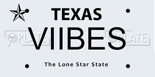 VIIBES Texas License Plate