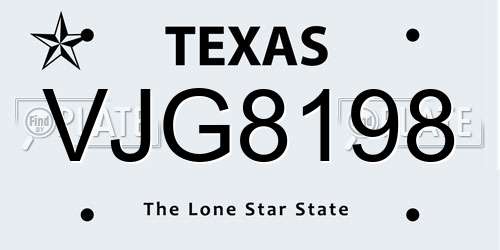 VJG8198 Texas License Plate