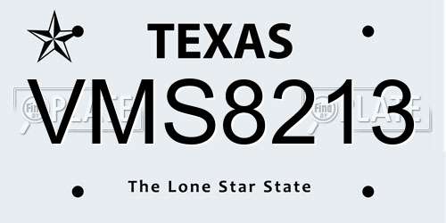 VMS8213 Texas License Plate