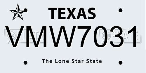 VMW7031 Texas License Plate