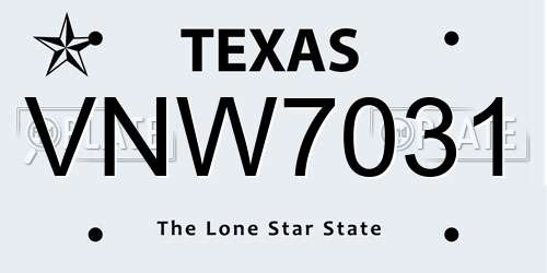 VNW7031 Texas License Plate