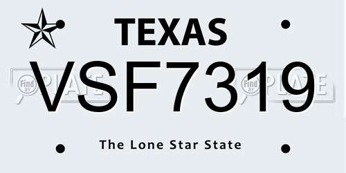 VSF7319 Texas License Plate
