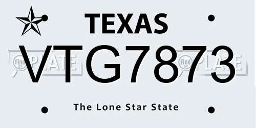 VTG7873 Texas License Plate