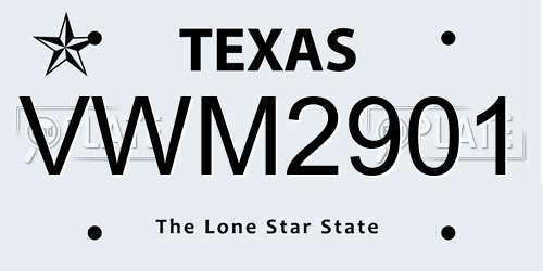 VWM2901 Texas License Plate