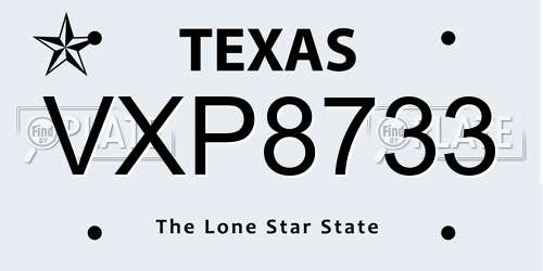 VXP8733 Texas License Plate