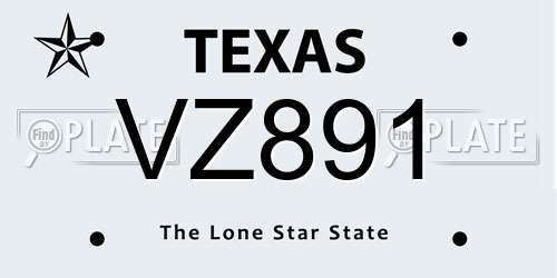 VZ891 Texas License Plate