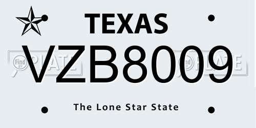 VZB8009 Texas License Plate