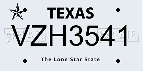 VZH3541 Texas License Plate
