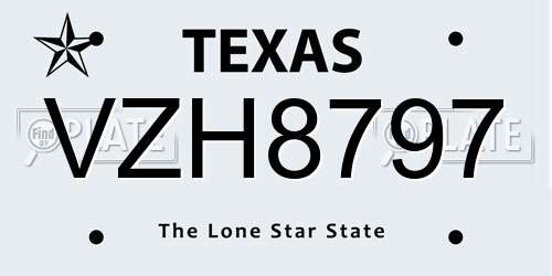 VZH8797 Texas License Plate