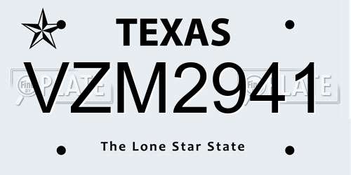 VZM2941 Texas License Plate