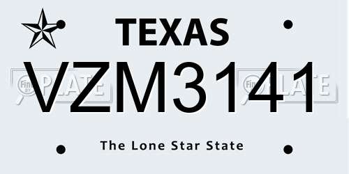 VZM3141 Texas License Plate