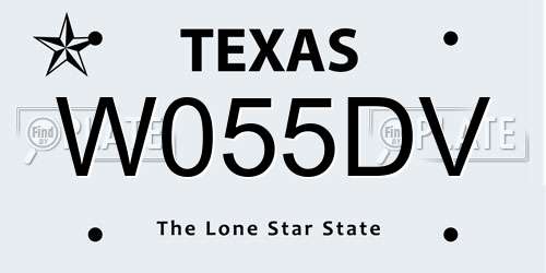 W055DV Texas License Plate