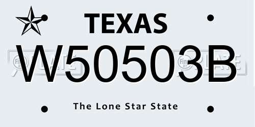 W50503B Texas License Plate