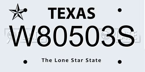 W80503S Texas License Plate