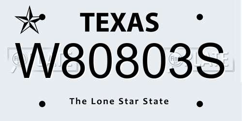 W80803S Texas License Plate