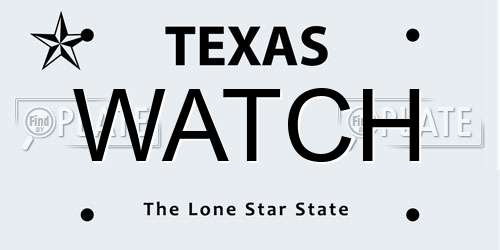 WATCH Texas License Plate