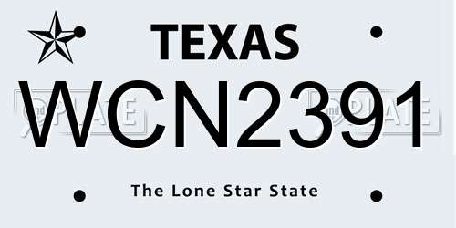 WCN2391 Texas License Plate