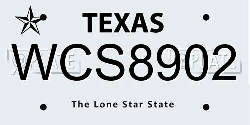 WCS8902 Texas License Plate