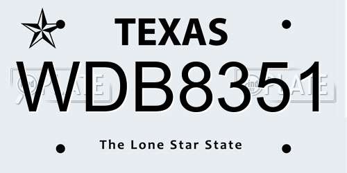 WDB8351 Texas License Plate