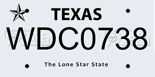 WDC0738 Texas License Plate