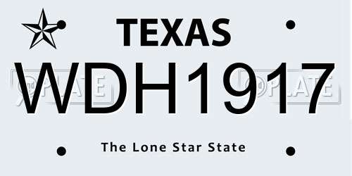 WDH1917 Texas License Plate