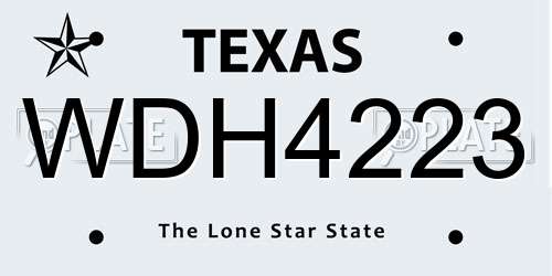 WDH4223 Texas License Plate