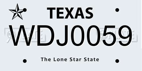 WDJ0059 Texas License Plate